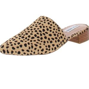 Steve Madden cheetah print slide on sandals with small heel size 6